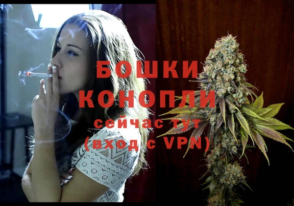 МДПВ Вязьма