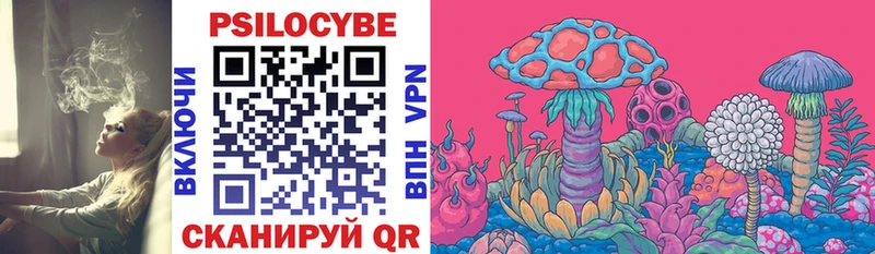 Купить  Красный Сулин  Псилоцибиновые грибы Psilocybine cubensis 